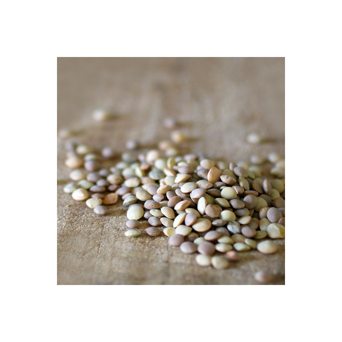 LENTICCHIE BIOLOGICHE PICCOLE 500 G